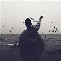 6686体育官网合作伙伴Gavin