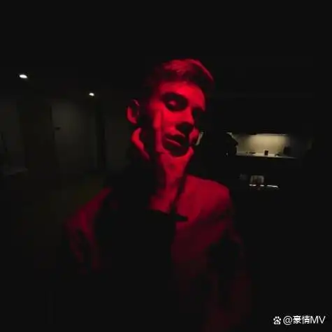 6686体育官网铜牌作者Hayden