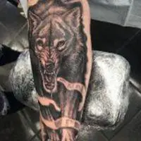 6686体育官网钻石作者Walter