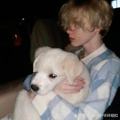 6686体育官网高级作者Milo