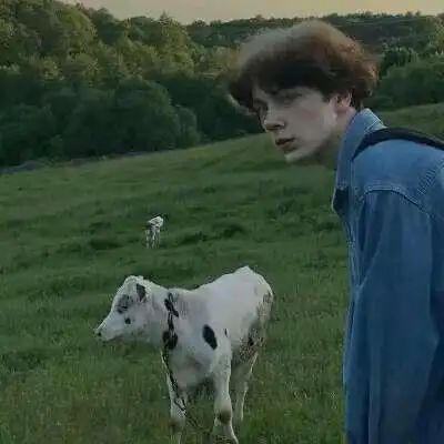 6686体育官网初级作者Avery