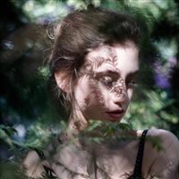 6686体育官网铁牌作者Quincy