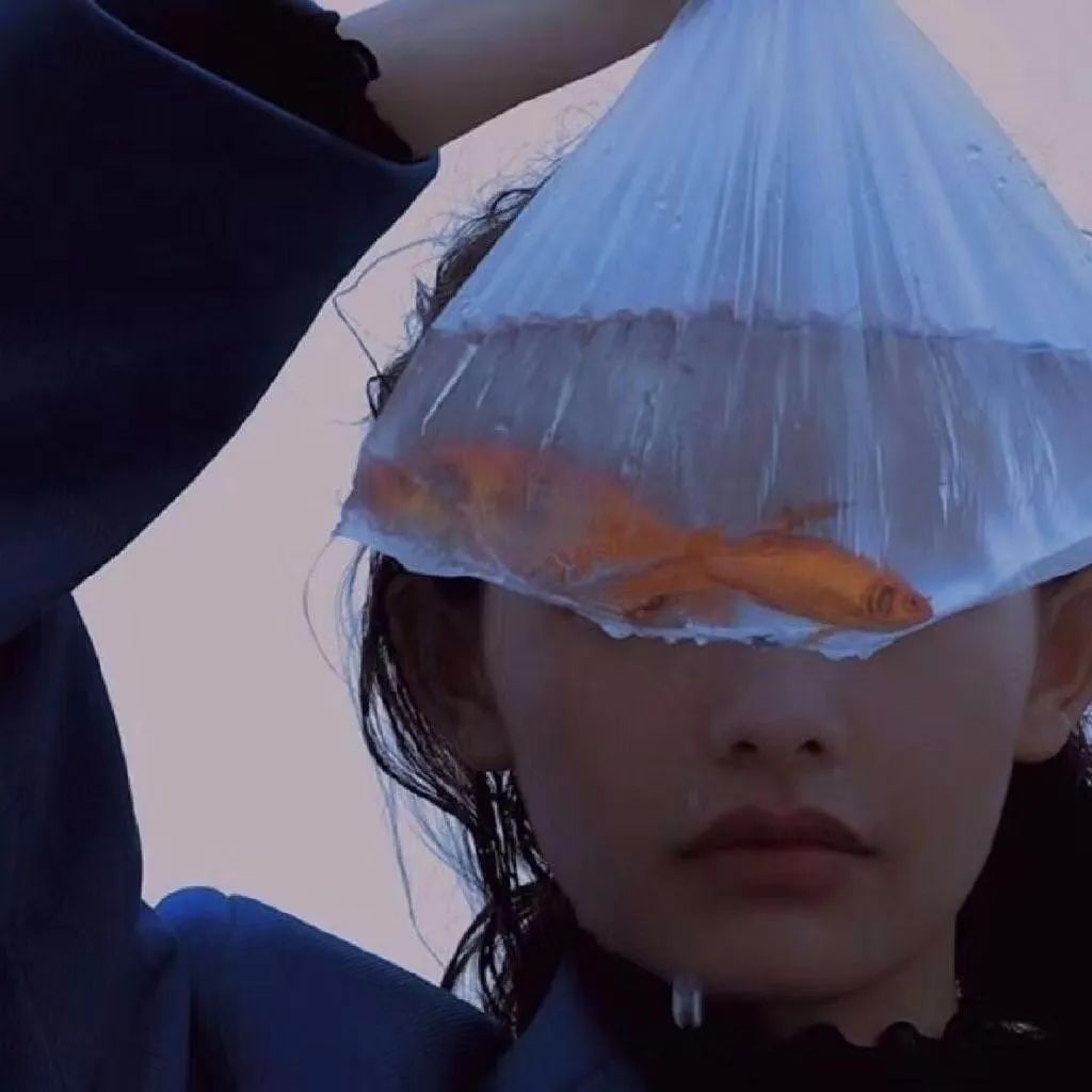 6686体育官网特邀作者Eileen