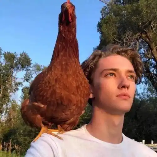 6686体育官网高级作者Rafael