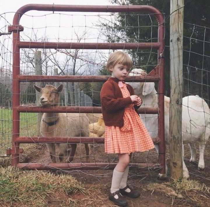 6686体育官网签约作者鬼域幽火