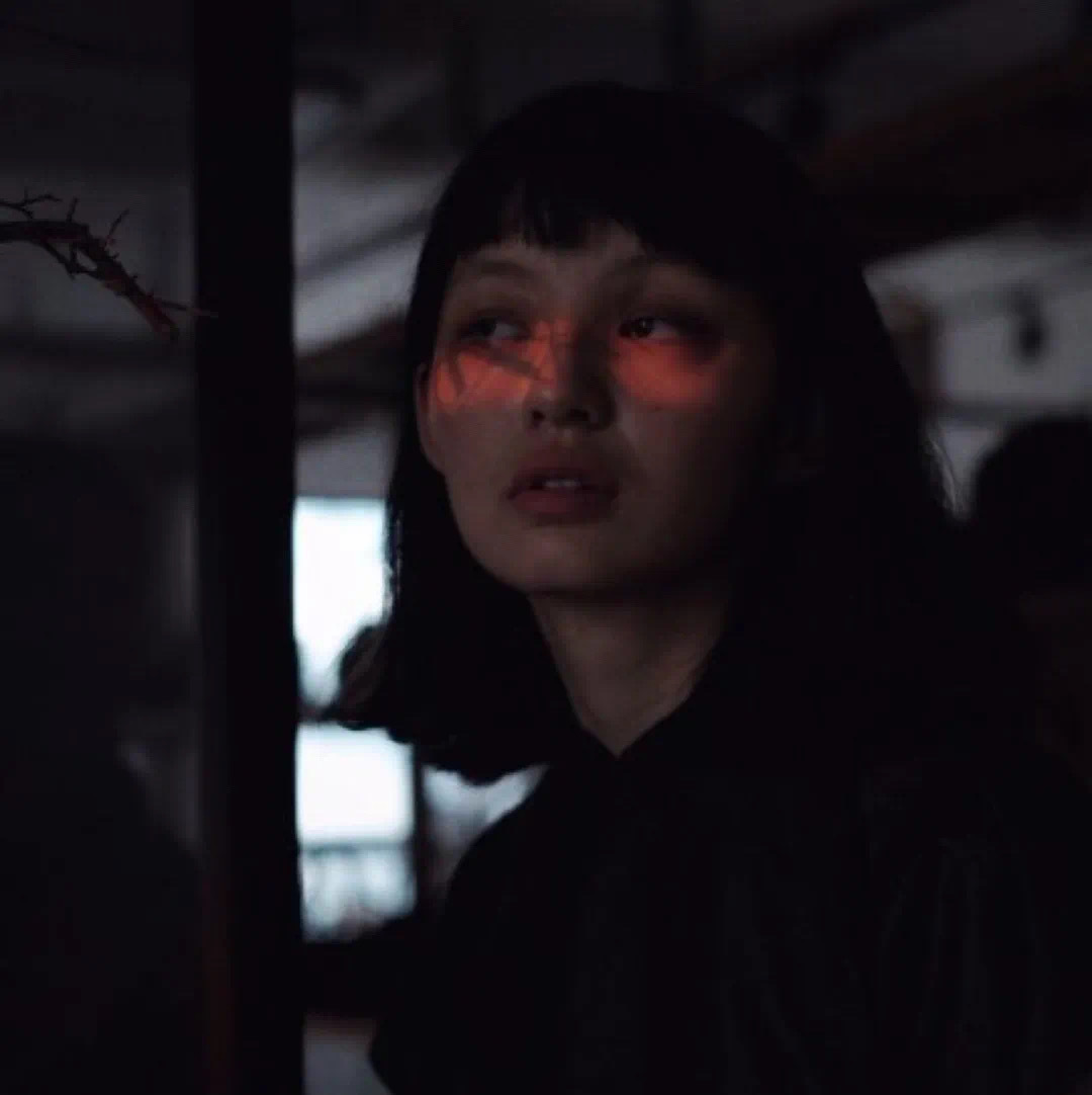 6686体育官网官方作者Xenia